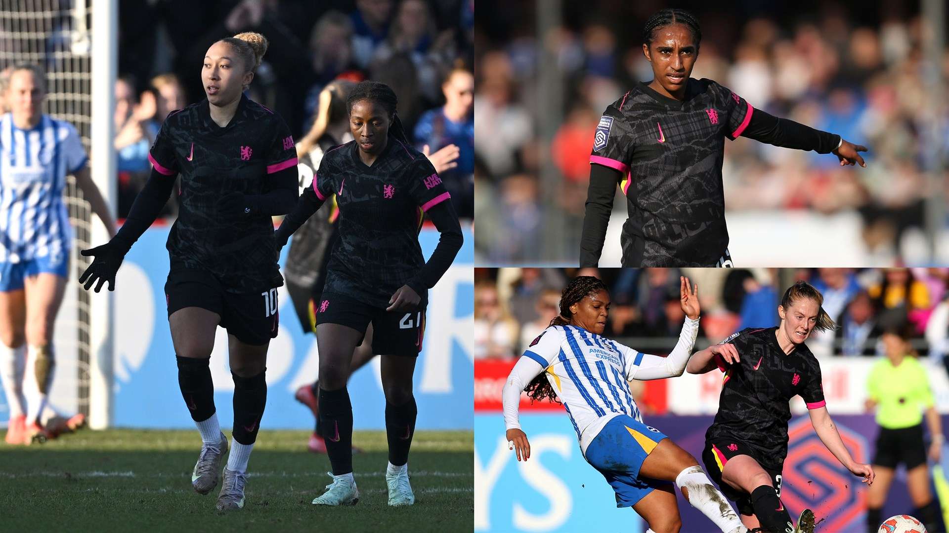 阳队在竞争 阳队在竞争